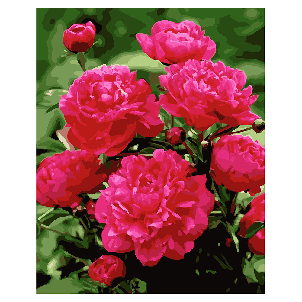 Набір для розпису по номерах VA-1577 "Яскраво рожеві піони" , розміром 40х50 см