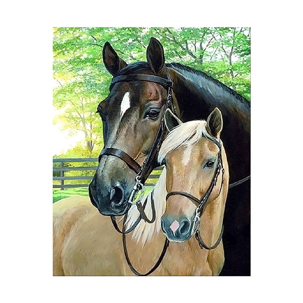 Алмазна картина FA40432 «Двоє коней в парку», розміром 40х50 см