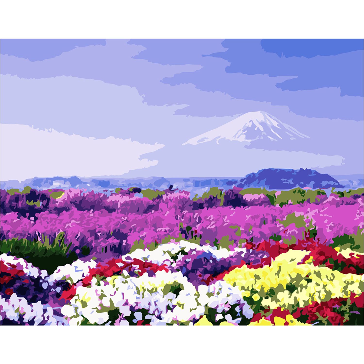 Картина за номерами Strateg ПРЕМІУМ Поле різнокольорових квітів з лаком та рівнем розміром 40х50 см VA-2911