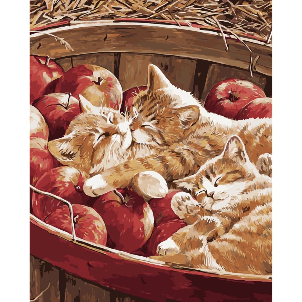 Набір для розпису по номерах VA-1996 "Котики в яблуках", розміром 40х50 см