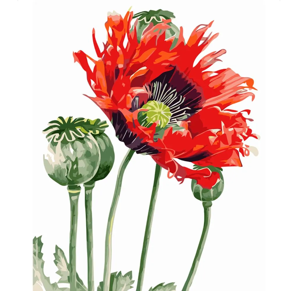 Картина за номерами Strateg ПРЕМІУМ Макова квітка з лаком та рівнем розміром 40х50 см VA-0869