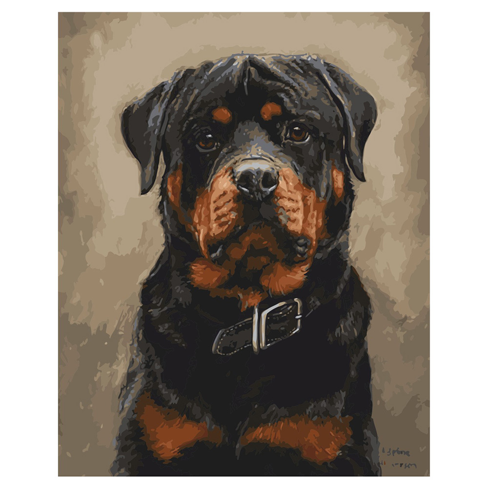 Paint by number Premium with varnish and level "Rottweiler"(VA-0011)