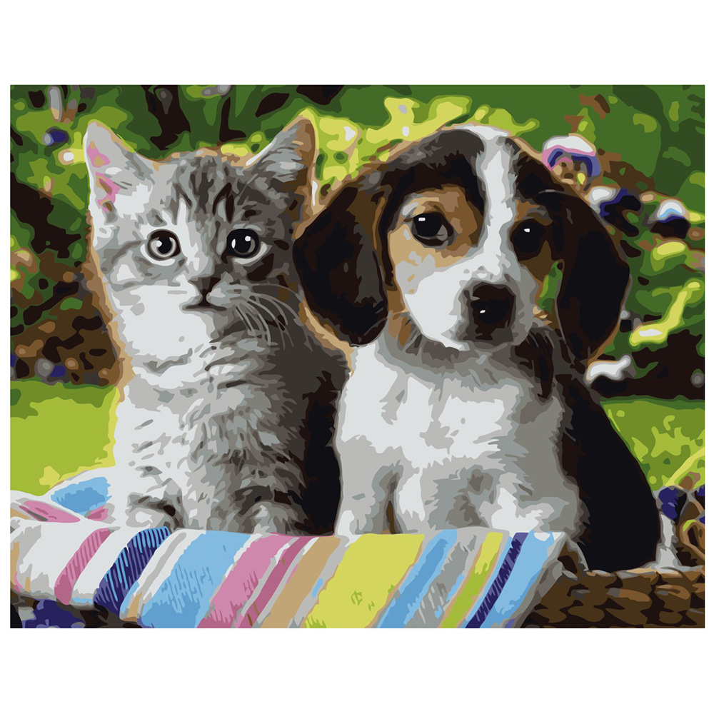 Paint by number "Kitten and puppy"(VA-0288)