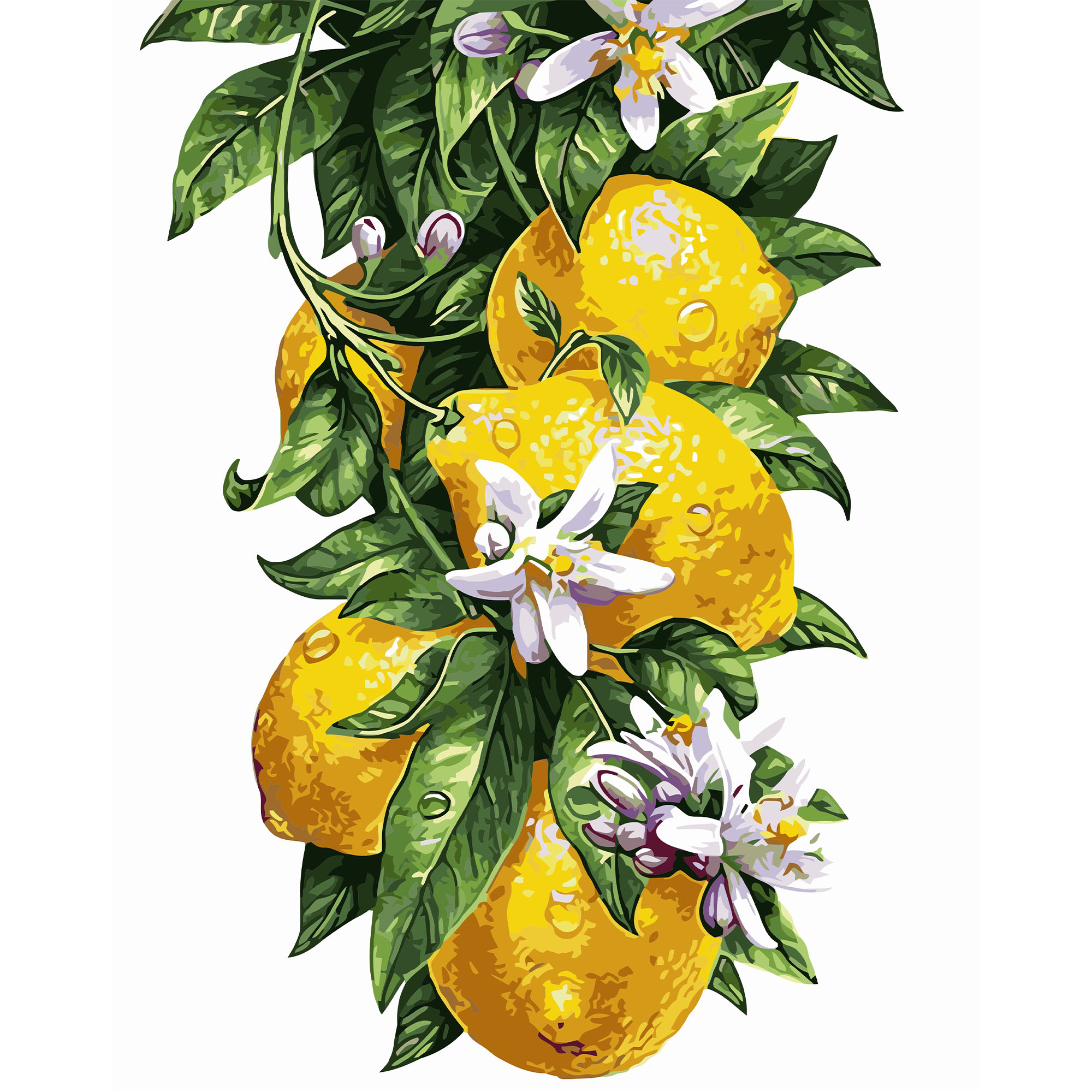 Картина по номерам Strateg ПРЕМИУМ Лимоны с лаком размером 40х50 см VA-0817