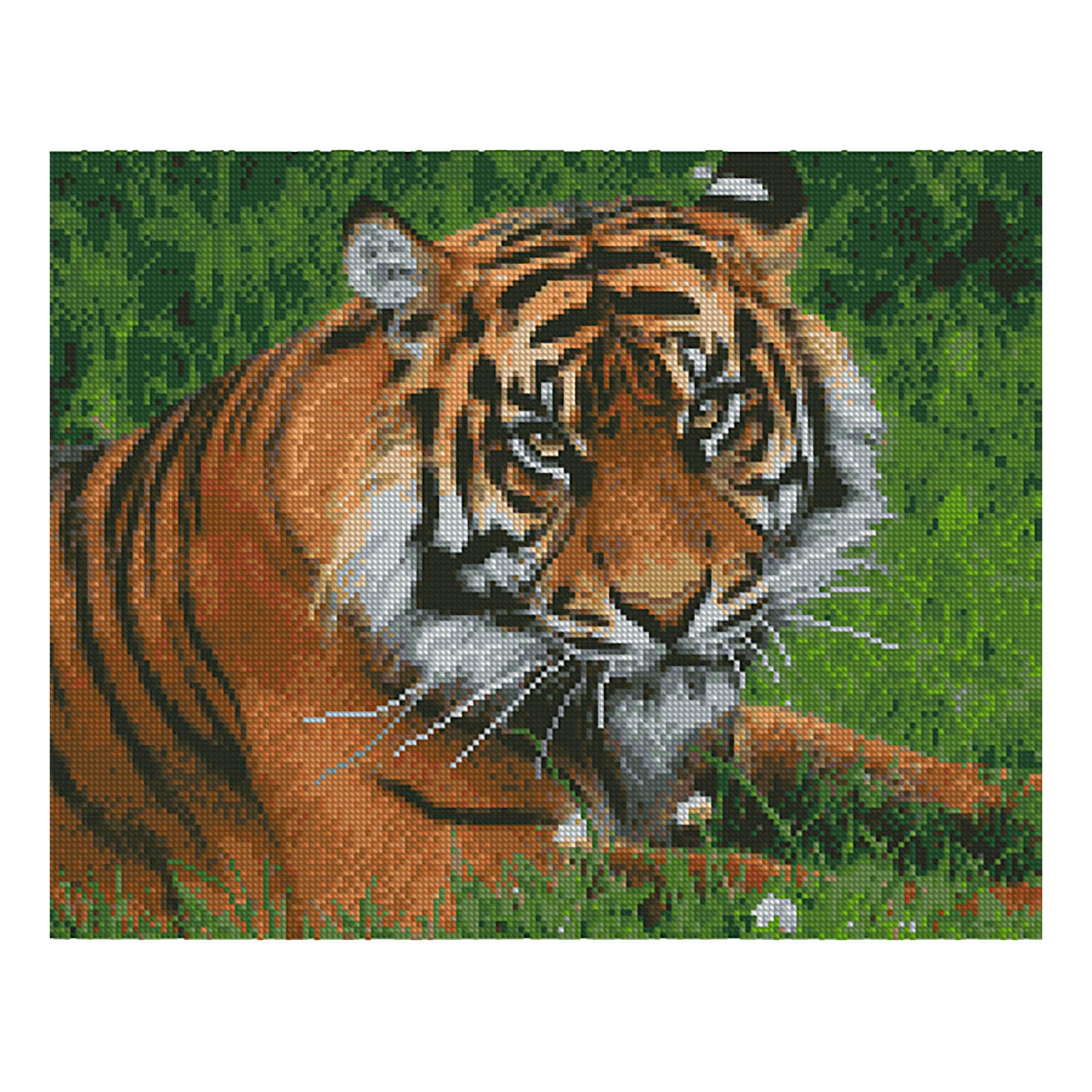 Diamond mosaic Premium Strateg "Severe tiger", 40x50 cm
