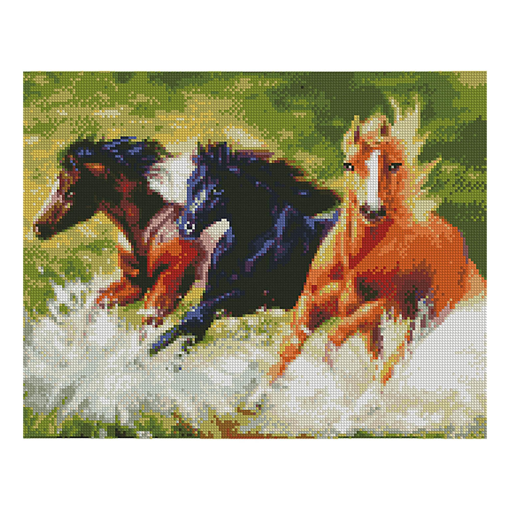 Diamond mosaic Premium Strateg "Wild horses", 40x50 cm