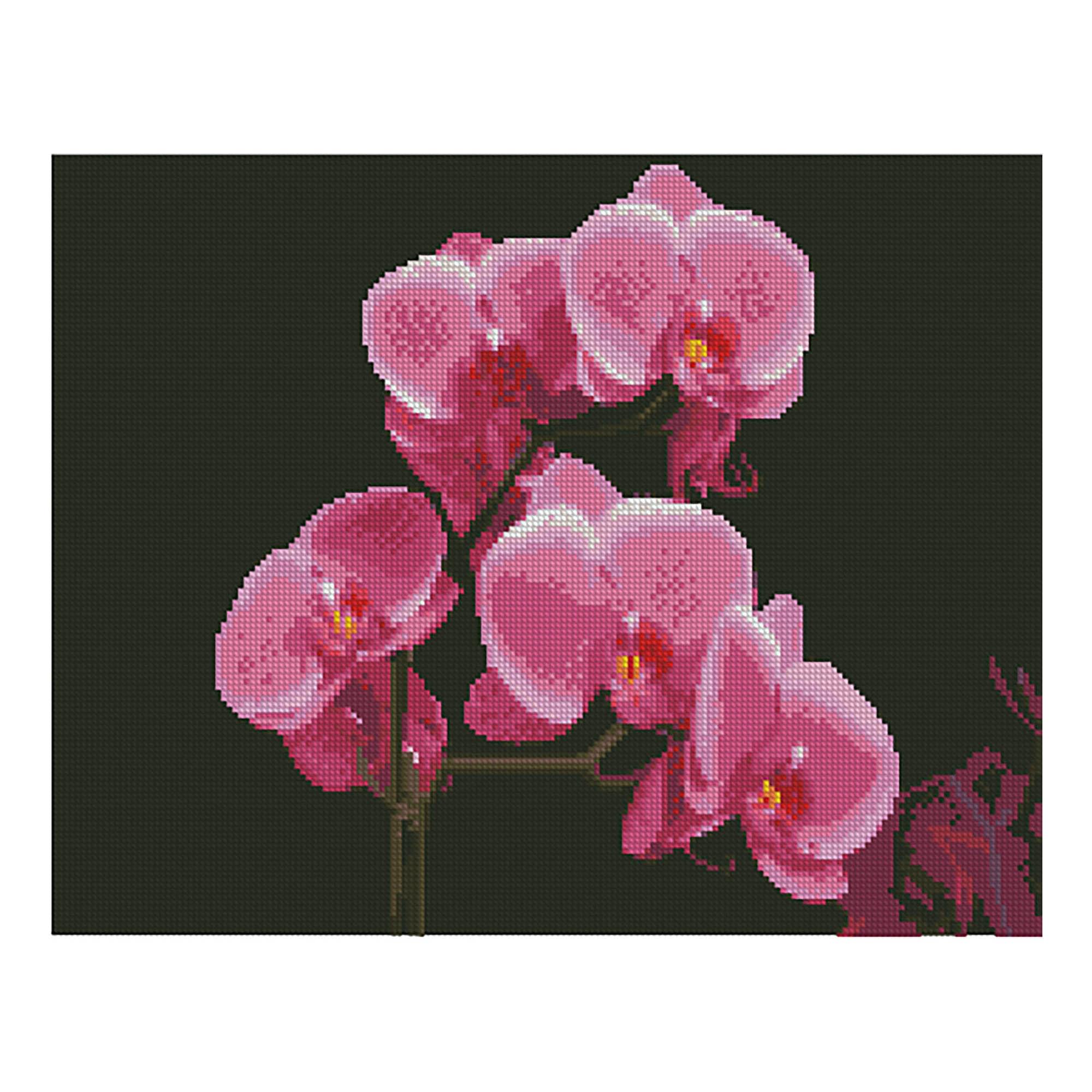 Алмазна мозаїка Strateg ПРЕМІУМ Рожеві орхідеї 40х50 см FA11877