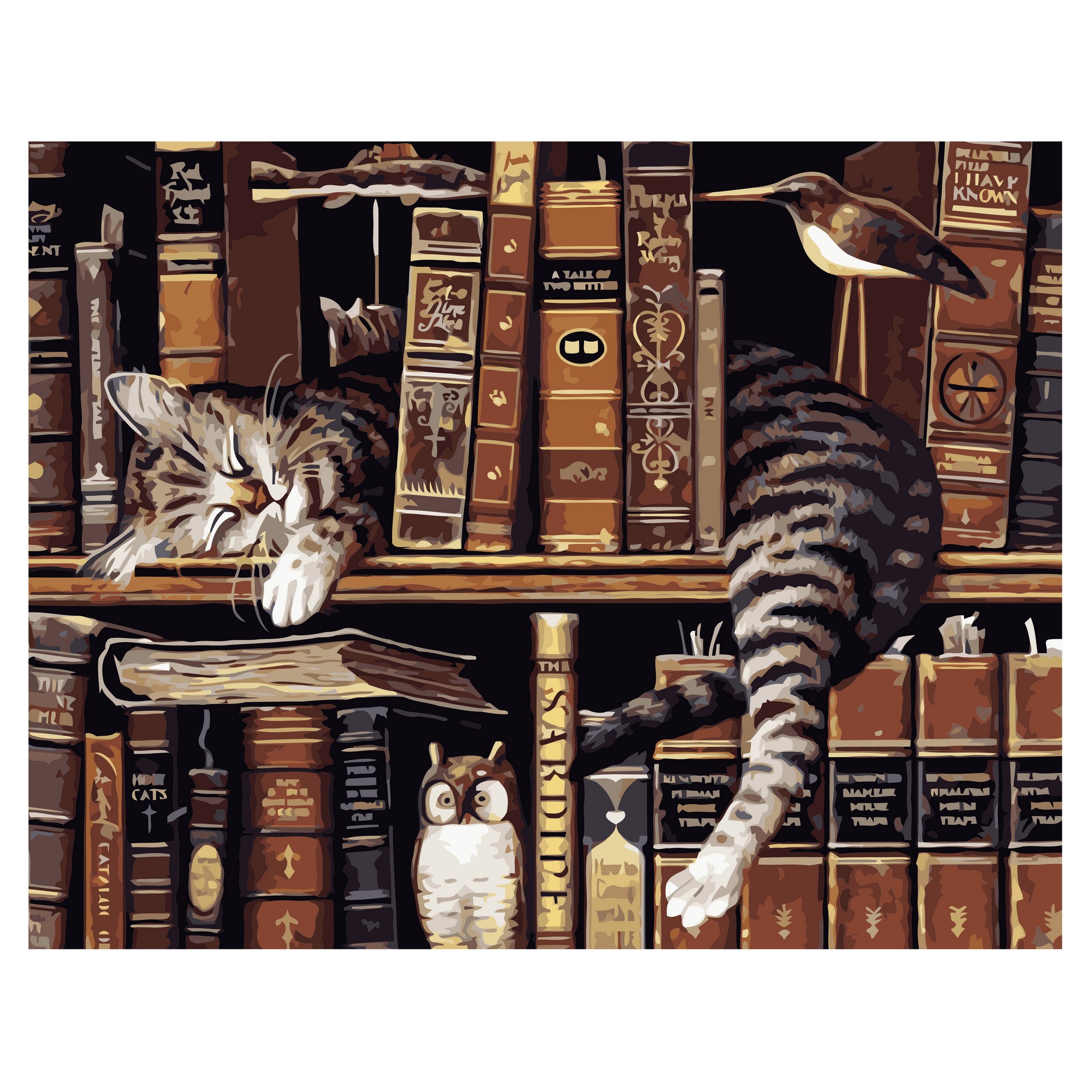 Котик на полиці з книгами з лаком VA-1726