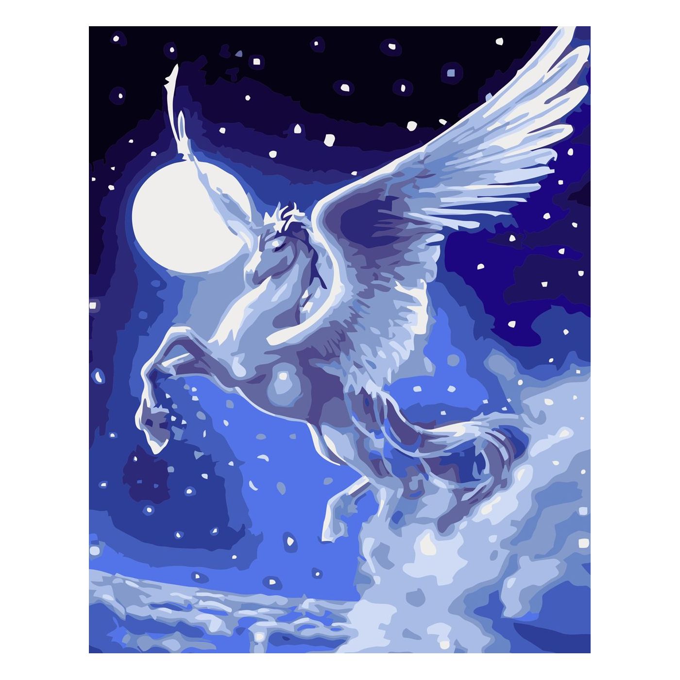 Paint by number Night Pegasus, 30x40 cm