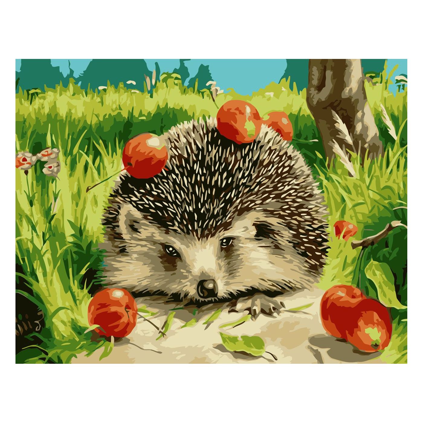 Paint by number Hedgehog with apples, 30x40 cm
