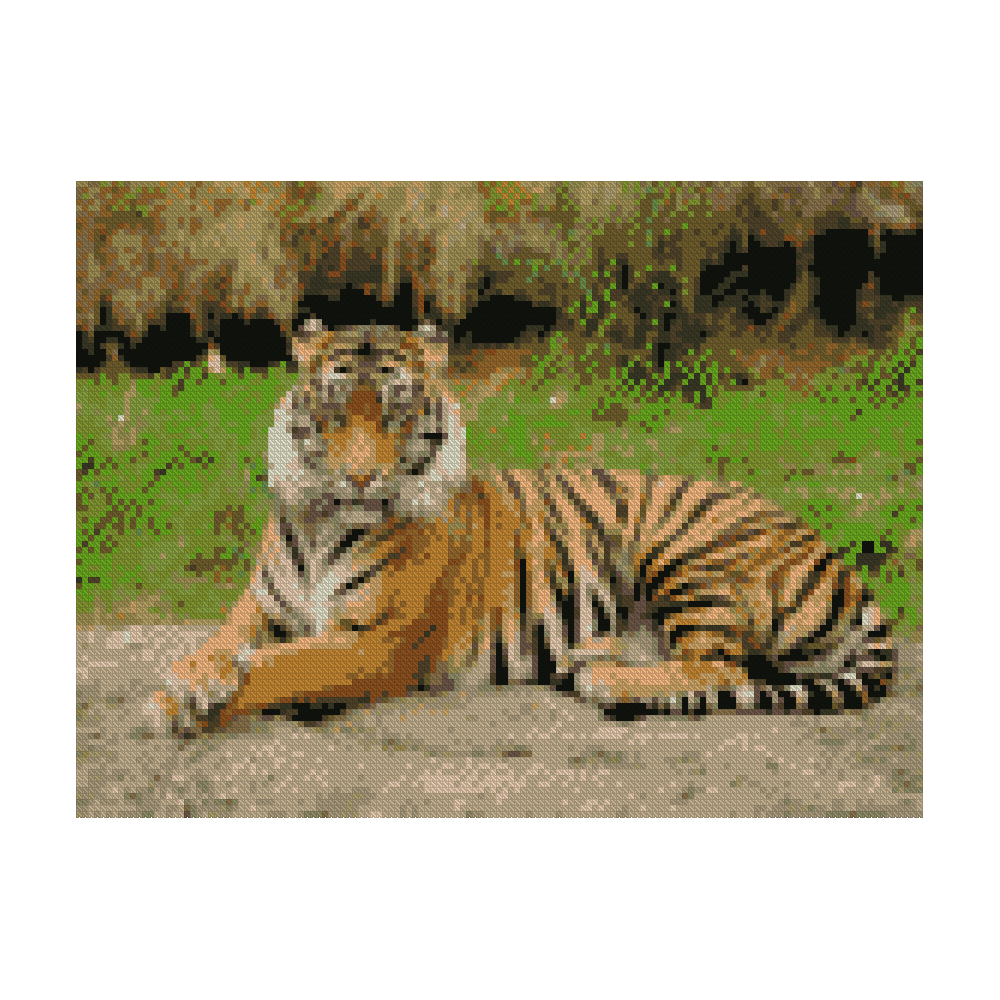 Diamond mosaic Premium "Beautiful tiger", 30x40 cm