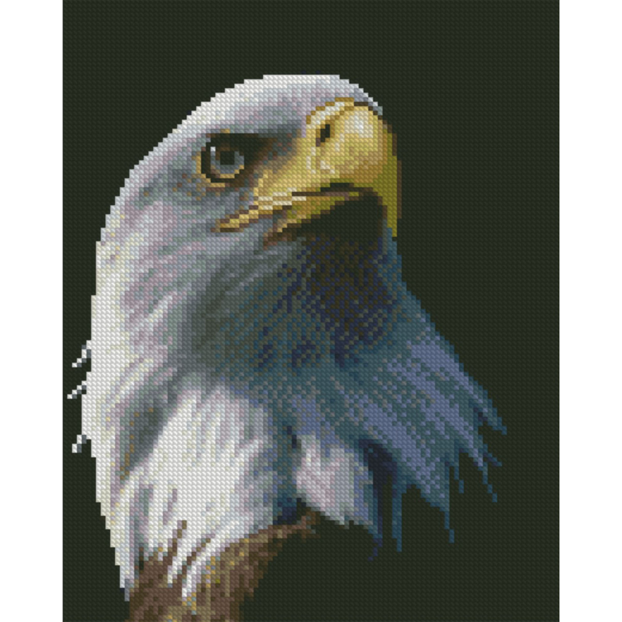 Diamond mosaic Premium "Portrait of an eagle", 30x40 cm