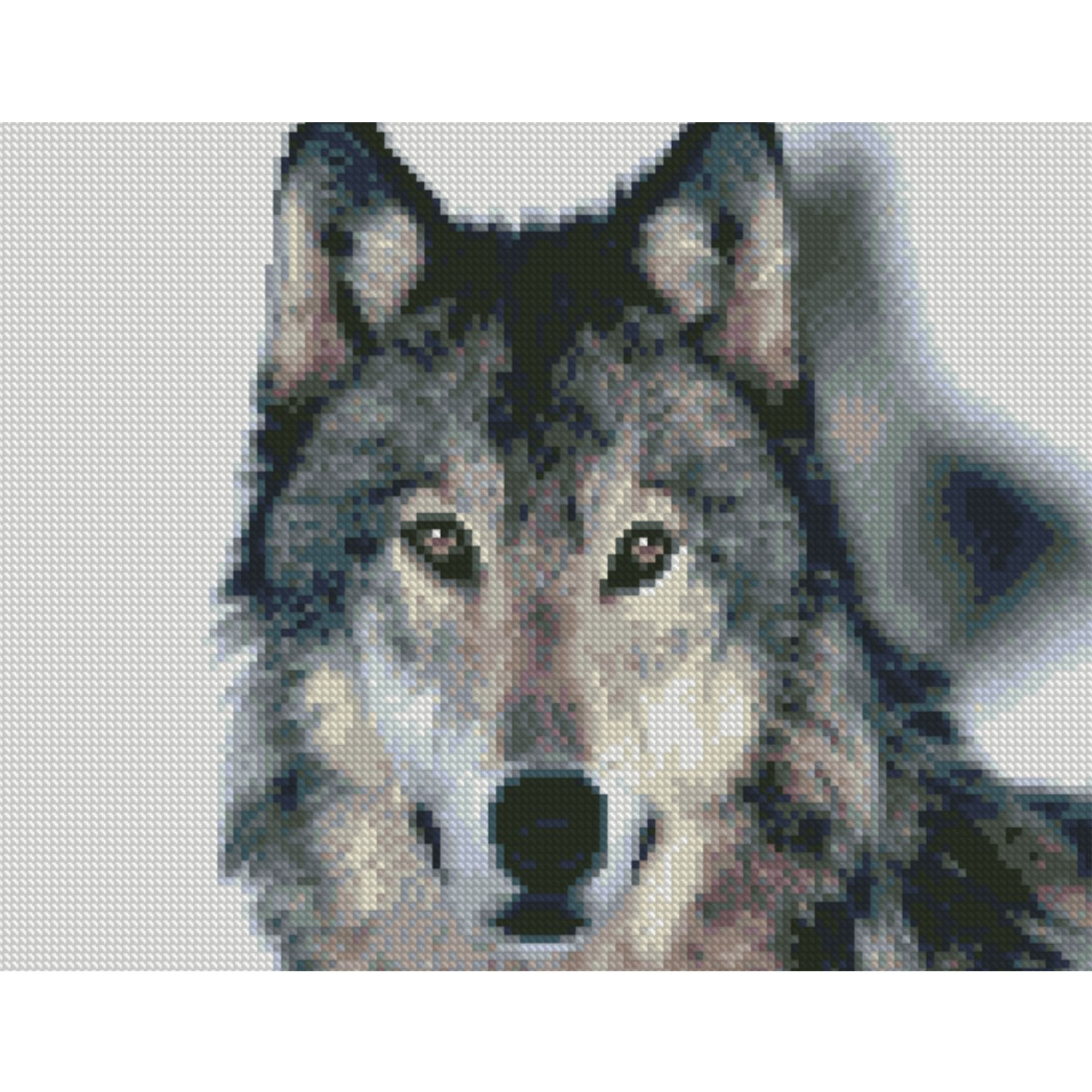 Diamond mosaic Premium "Good wolf", 30x40 cm