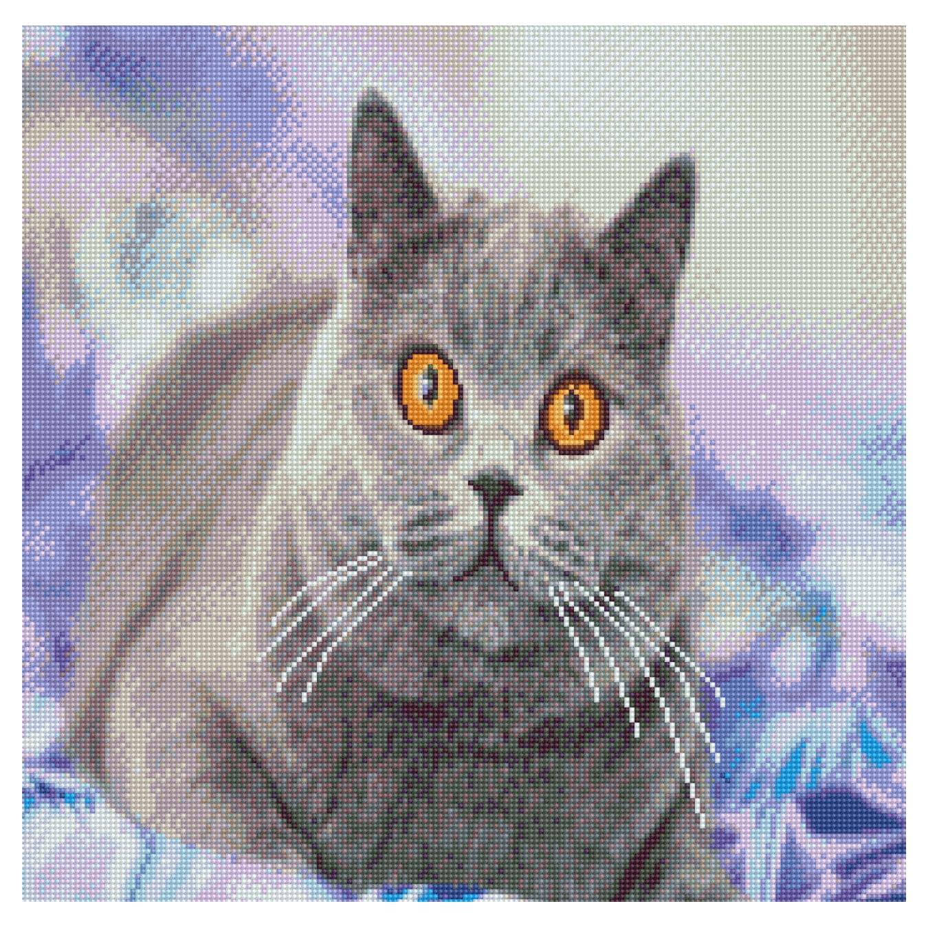 Diamond mosaic Premium "Interested gray cat", 50x50 cm