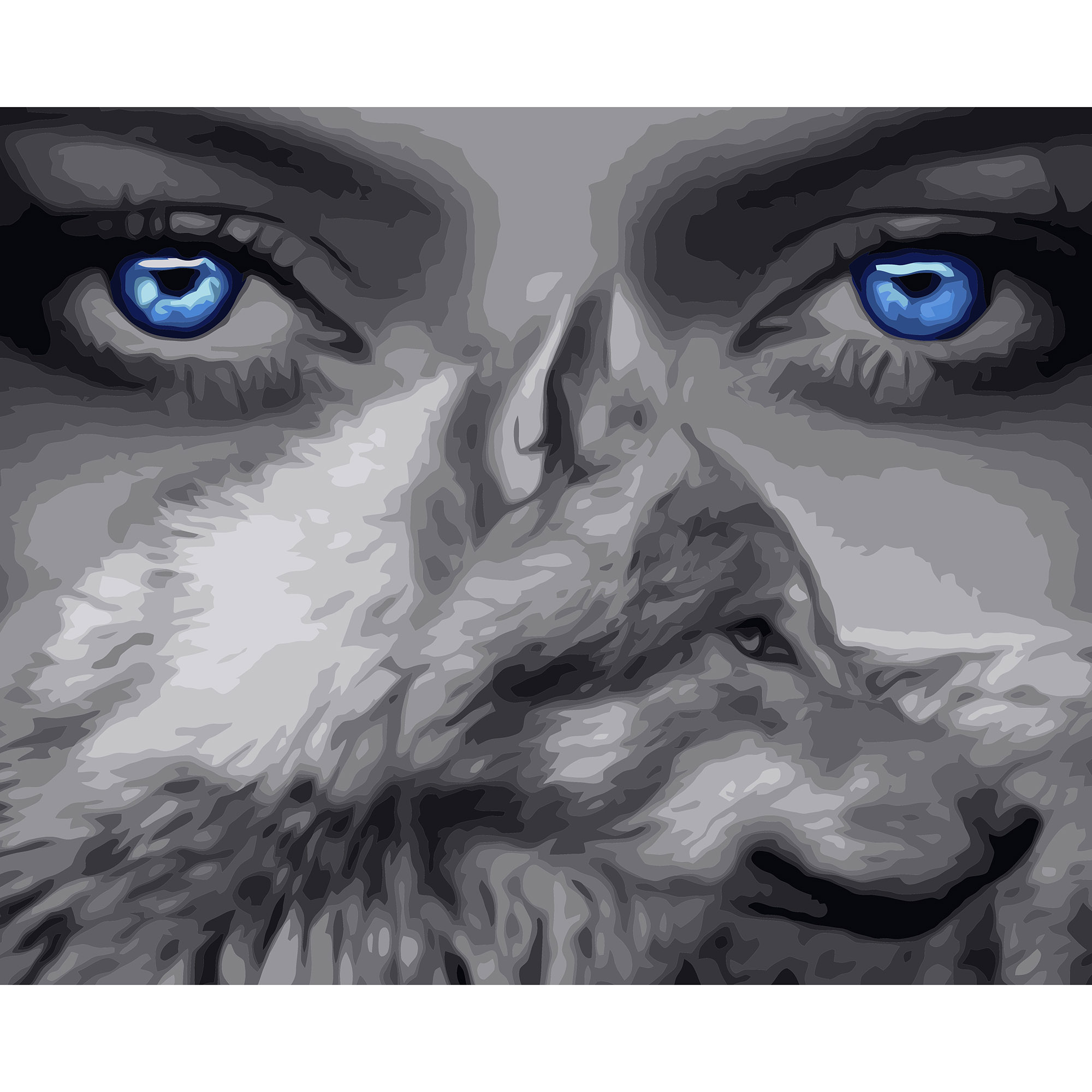 Картина за номерами Strateg ПРЕМІУМ Очі вовка з лаком розміром 40х50 см VA-3173