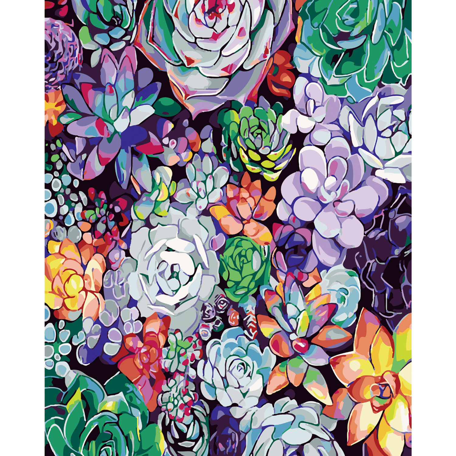 Paint by number Premium with varnish and level Multicolored echeveria, 40x50 cm