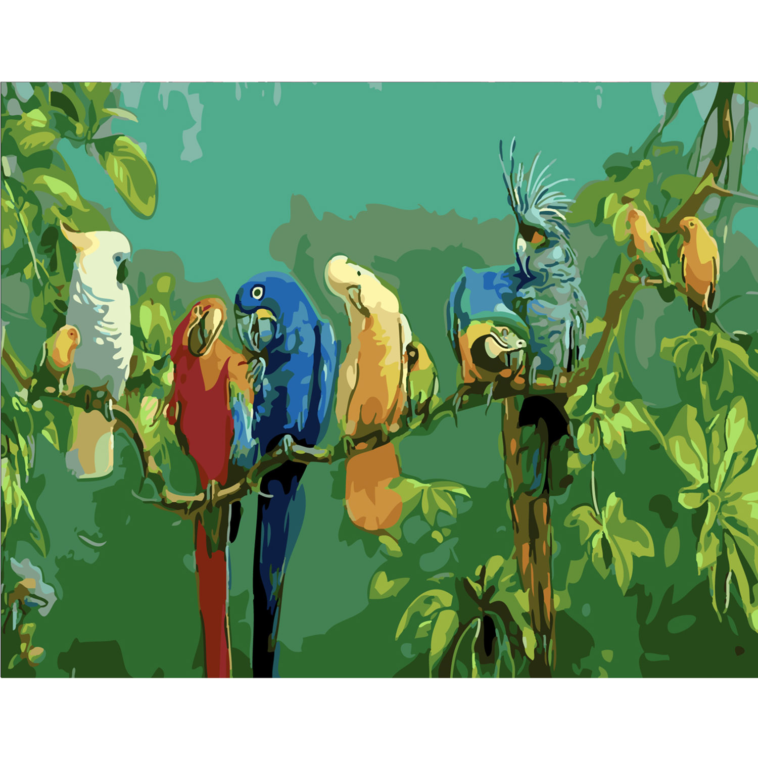 Paint by number Premium with varnish and level Parrots on a branch, 40x50 cm