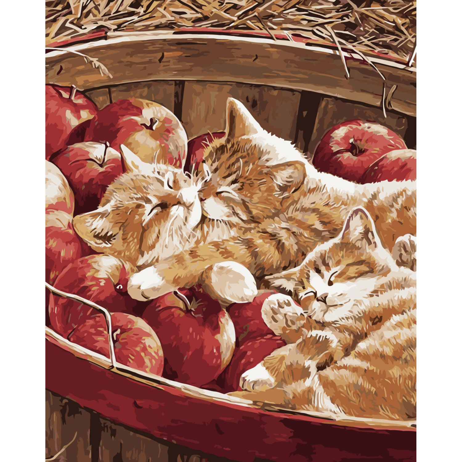 Картина за номерами Strateg ПРЕМІУМ Котики в яблуках з лаком розміром 40х50 см VA-1996