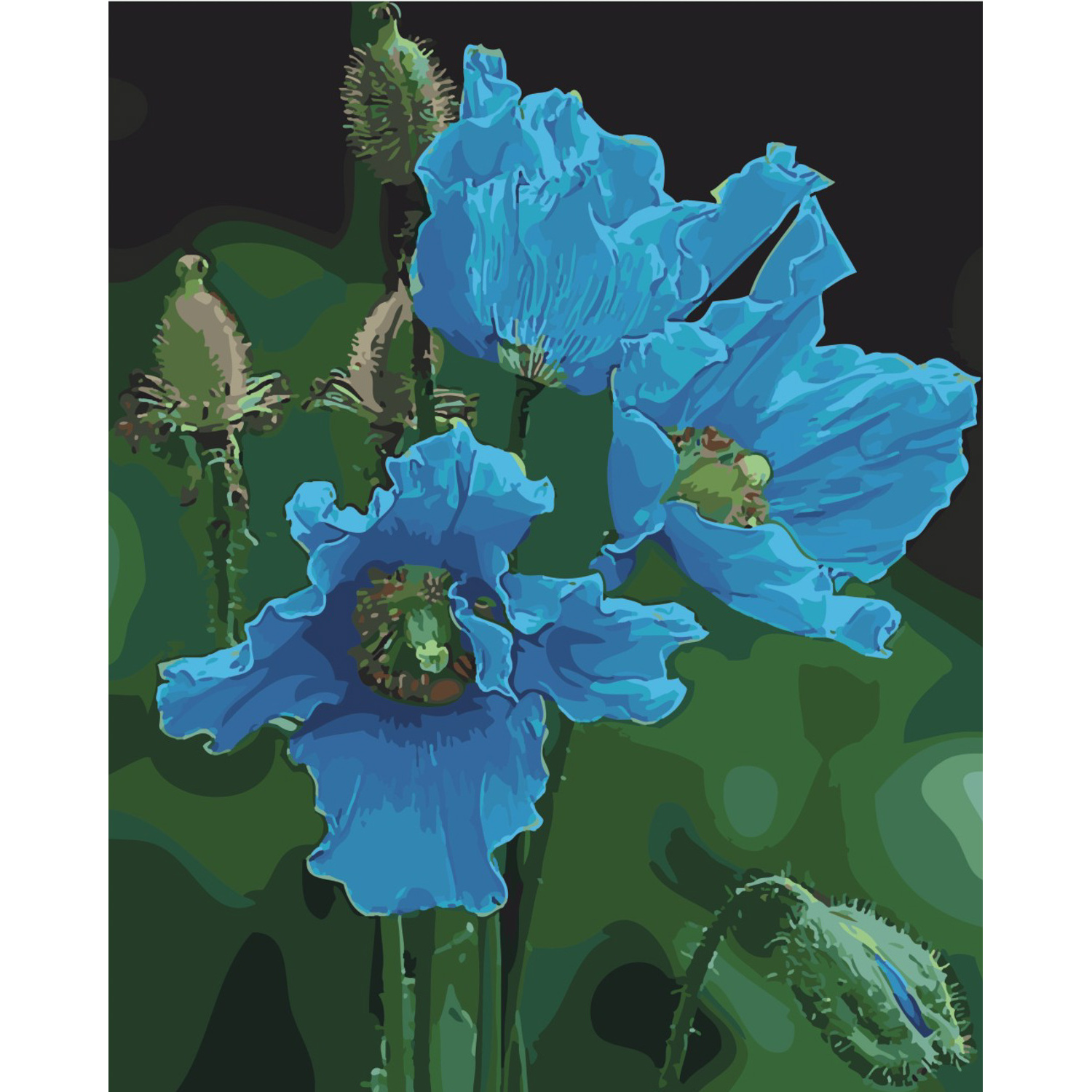 Painting by numbers SY6470 "Himalayan poppies", size 40x50 cm