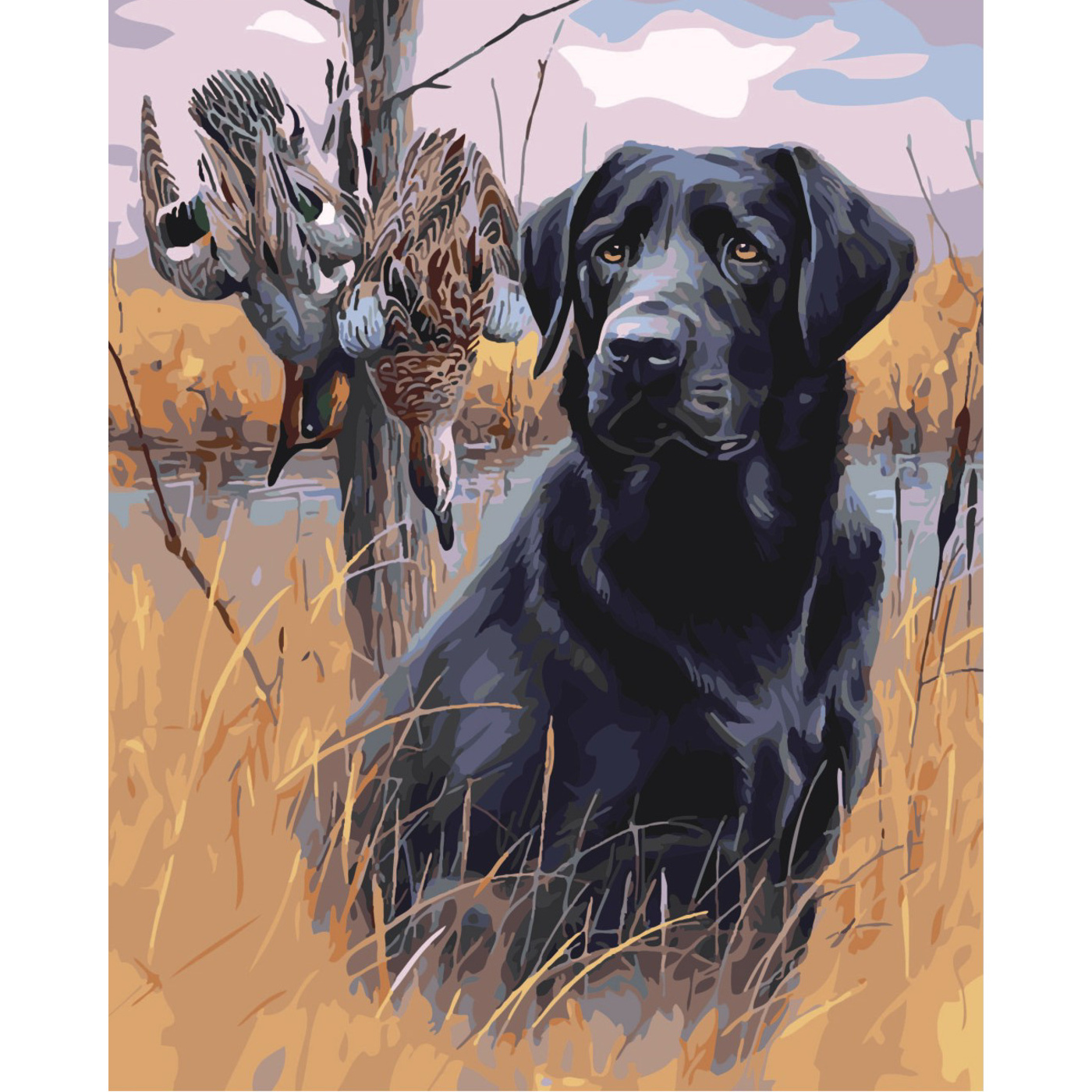 Set for painting by numbers SY6473 "Labrador on the hunt", size 40x50 cm