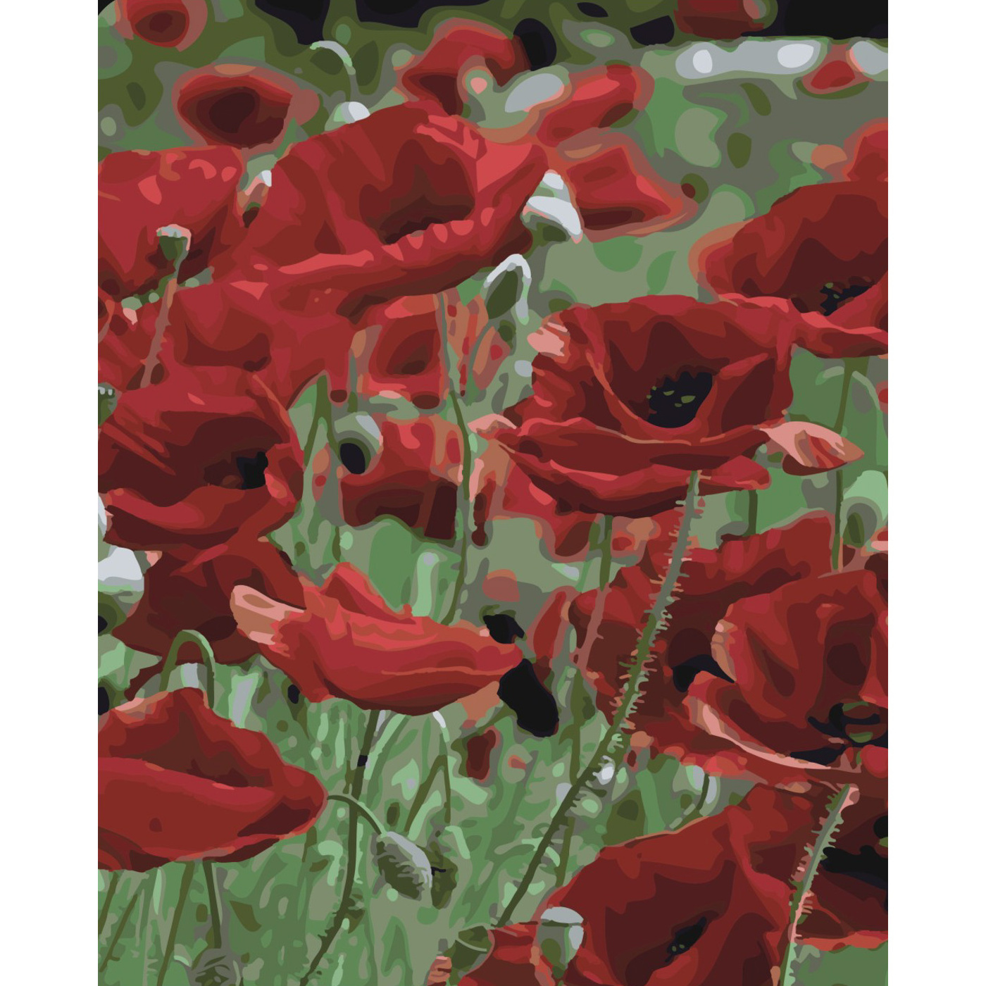 Set for painting by numbers SY6510 "Poppy field", size 40x50 cm
