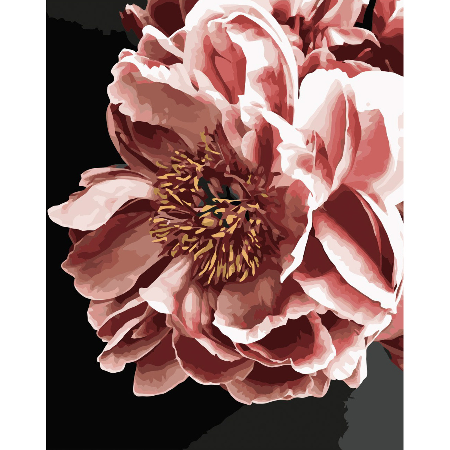 Картина за номерами Strateg ПРЕМІУМ Нічна квітка з лаком розміром 40х50 см VA-3318