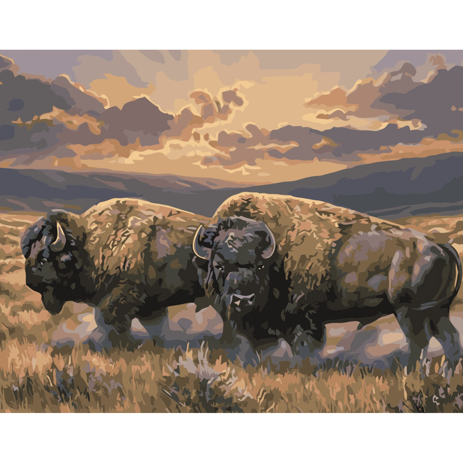 Set for painting by numbers VA-3348 "Pair of bison", size 40x50 cm