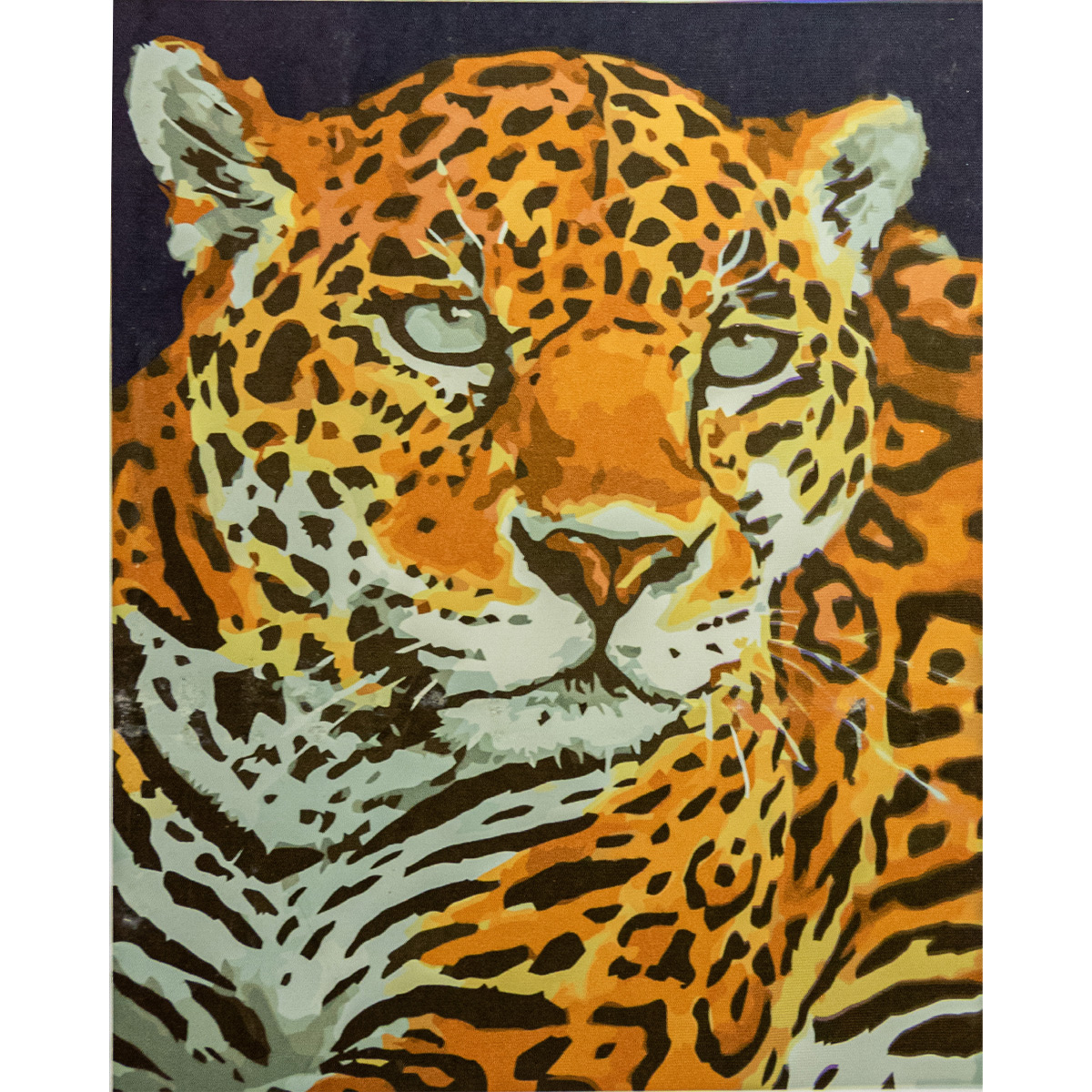Paint by number Premium with varnish and level VA-3362 "Leopard", with varnish and level size 40x50 cm