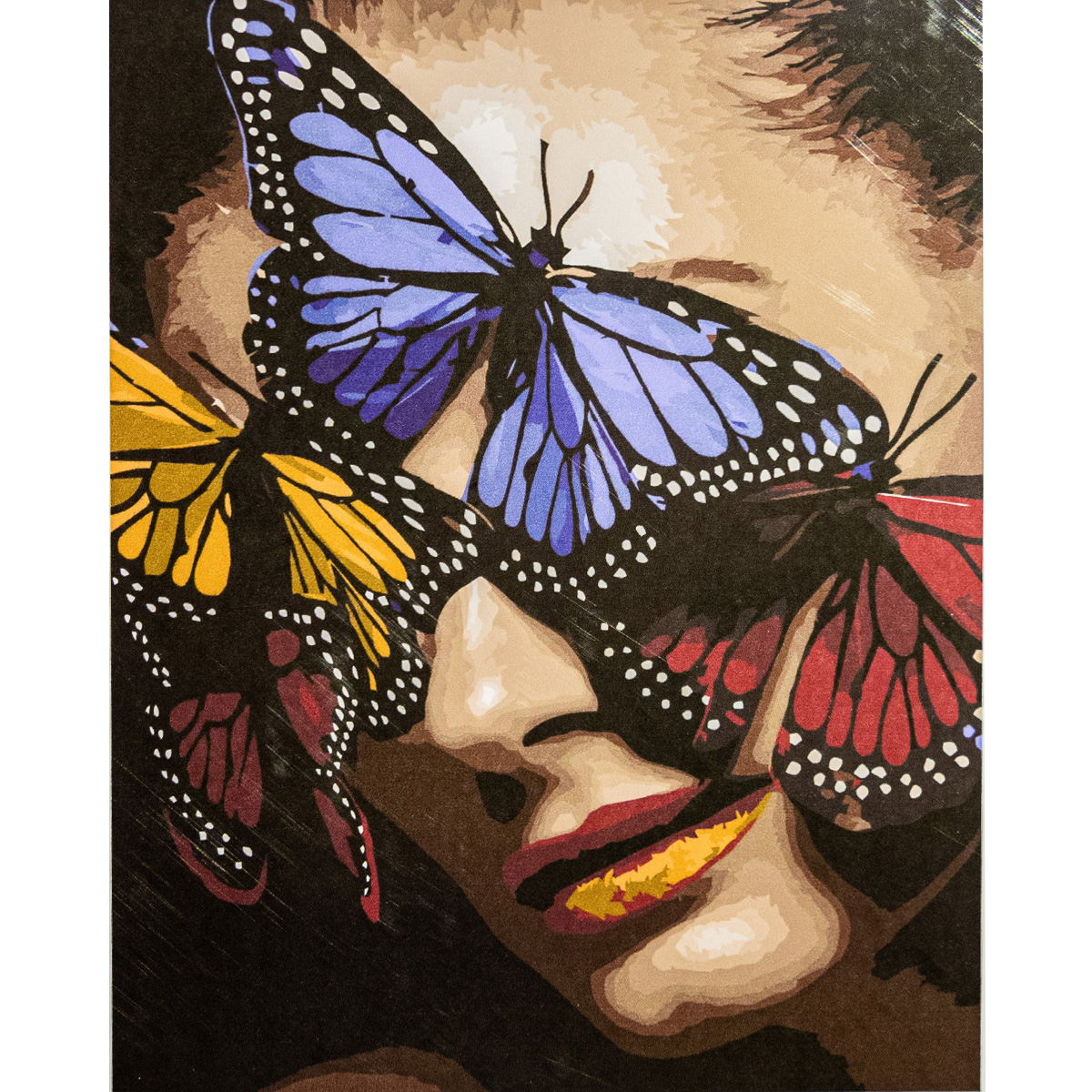 Paint by number Premium with varnish and level VA-3386 "Monarch butterfly", with varnish and level size 40x50 cm