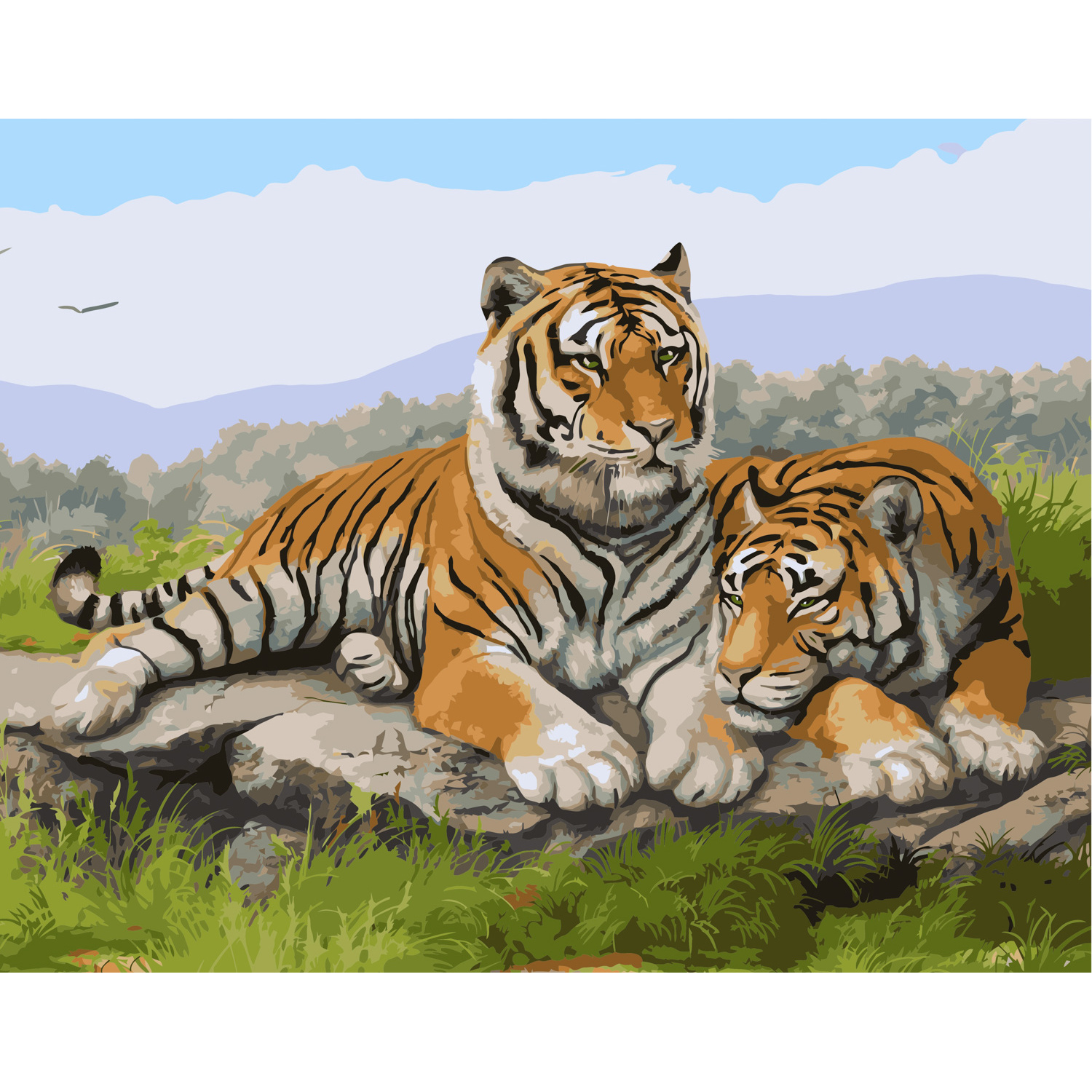 Картина за номерами Сім'я тигрів Strateg з лаком розміром 40х50 см (VA-0561)