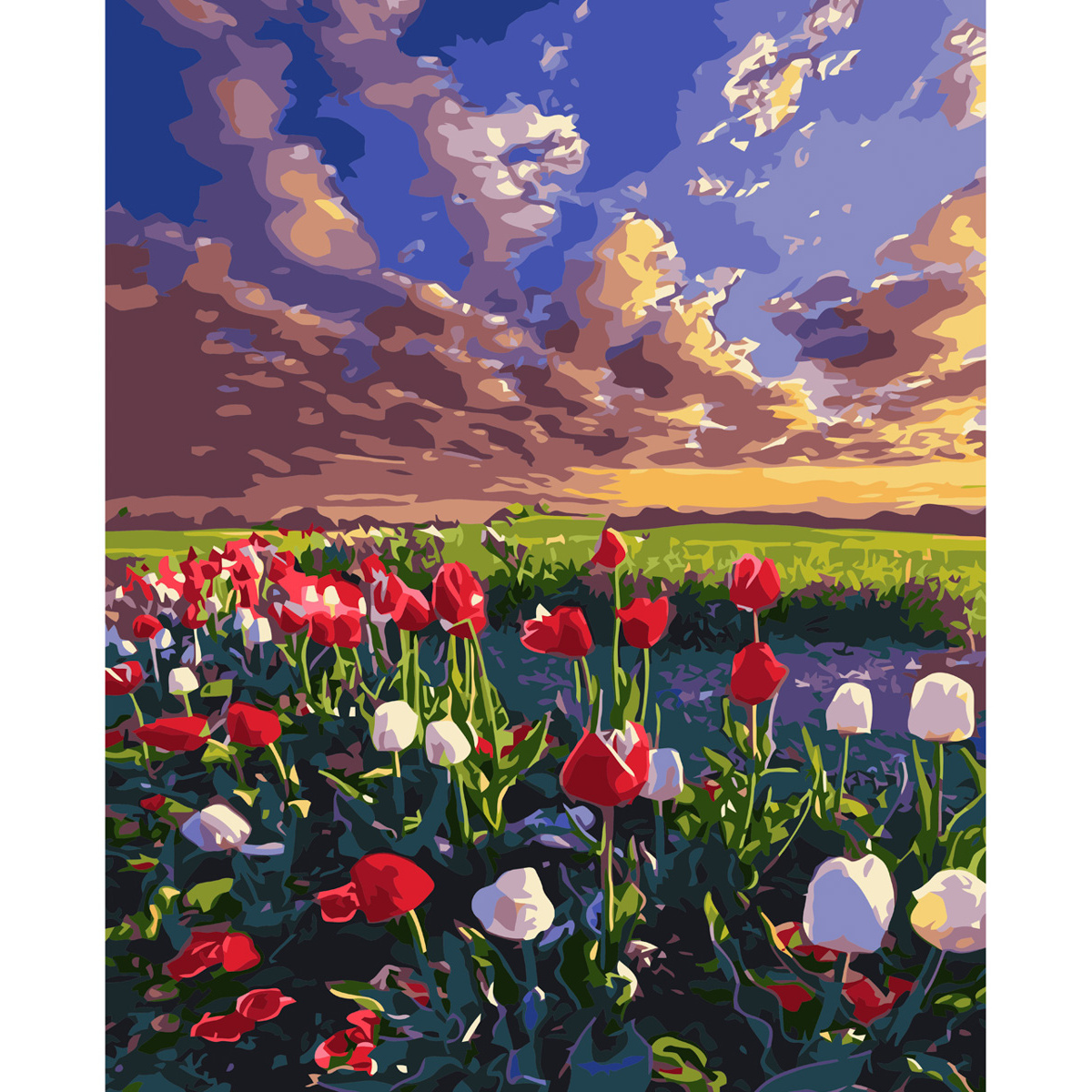 Картина по номерам Strateg ПРЕМИУМ Поле тюльпанов с лаком и уровнем размером 40х50 см VA-2894