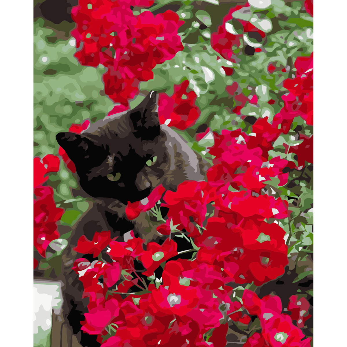 Картина за номерами Strateg ПРЕМІУМ Котик в червоних квітах з лаком та рівнем розміром 40х50 см VA-3593