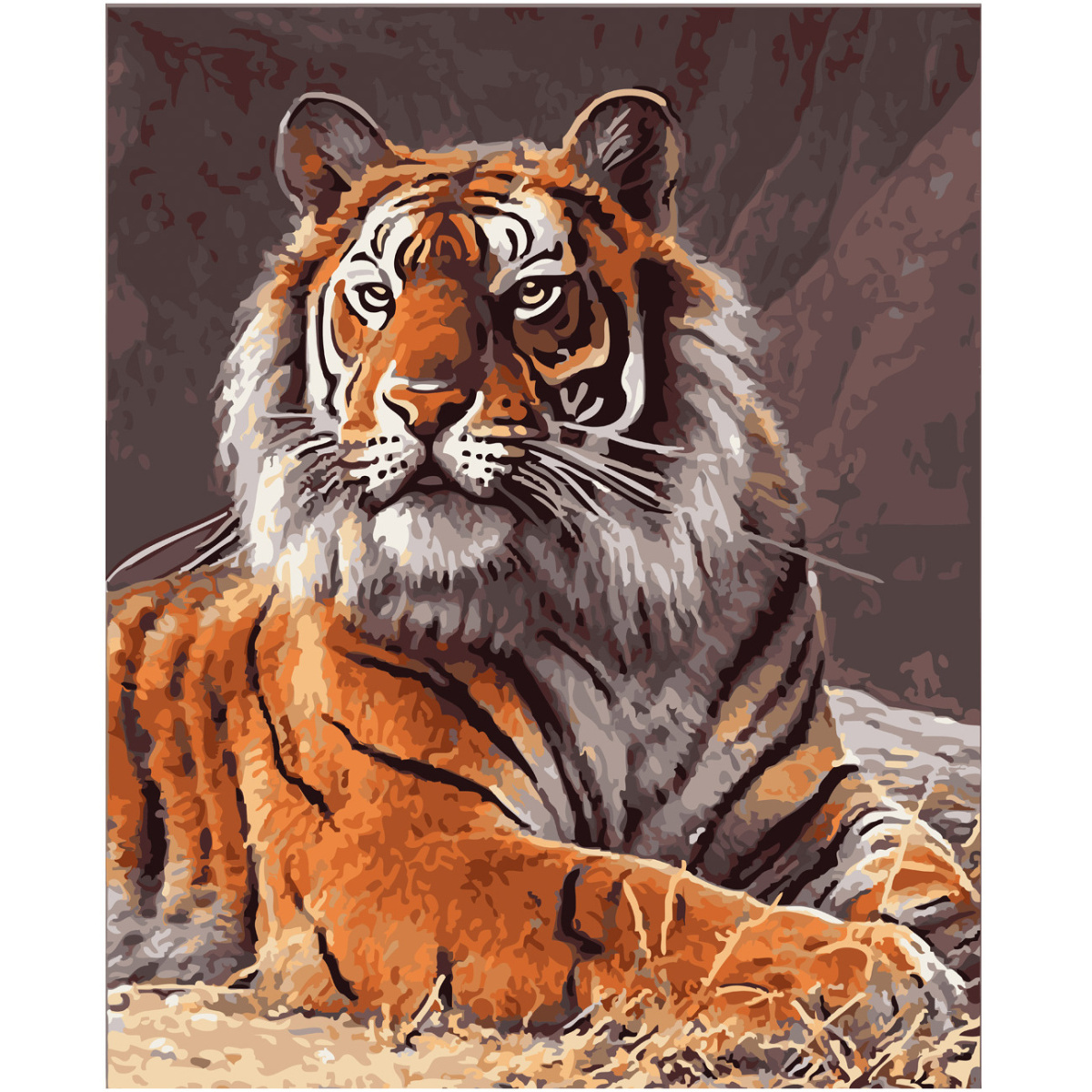 Картина за номерами Strateg ПРЕМІУМ Великий кіт з лаком та рівнем розміром 40х50 см SY6590