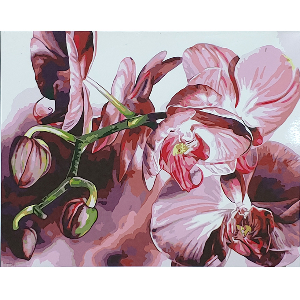 Paint by number Strateg PREMIUM Incredible flowers with varnish and level size 40x50 cm (SY6682)