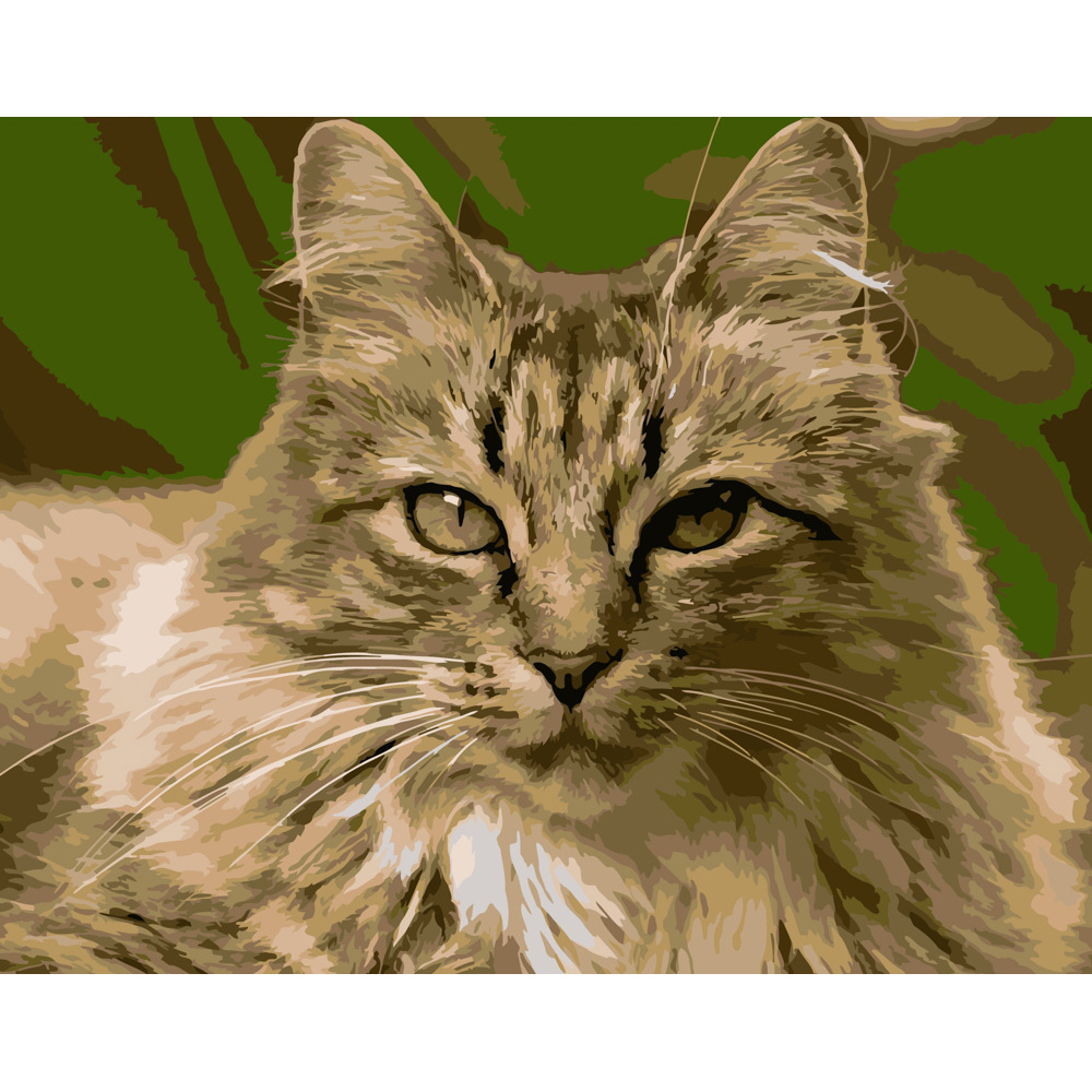 Картина за номерами Strateg ПРЕМІУМ Горда кішка розміром 40х50 см (DY186)