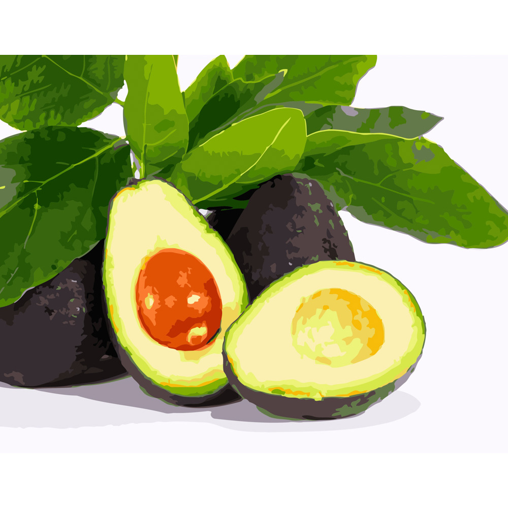 Malen nach Zahlen Strateg PREMIUM Reife Avocado Größe 40x50 cm (GS181)