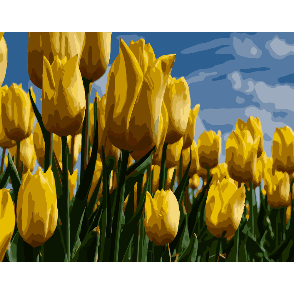 Картина за номерами Strateg ПРЕМІУМ Поле жовтих тюльпанів розміром 40х50 см (GS260)