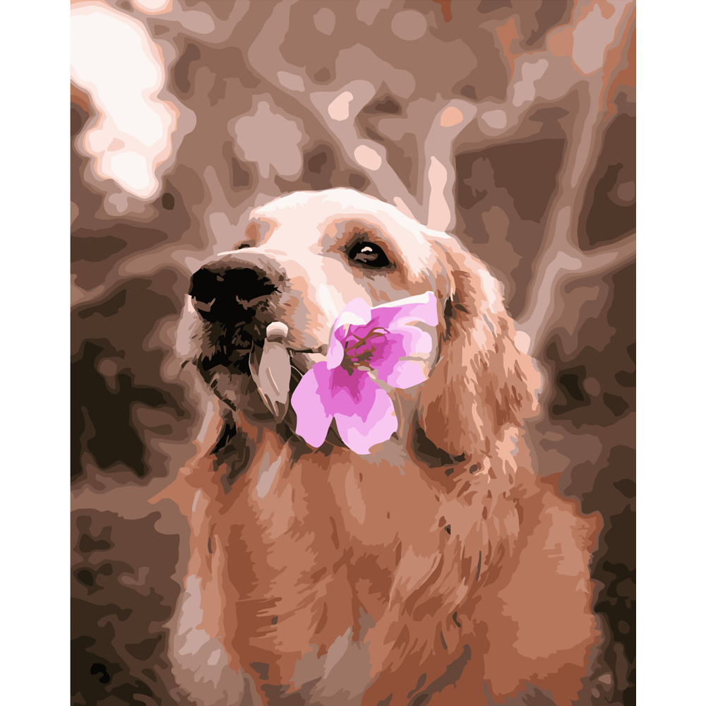 Paint by number Strateg PREMIUM Golden retriever with a flower size 40x50 cm (GS309)