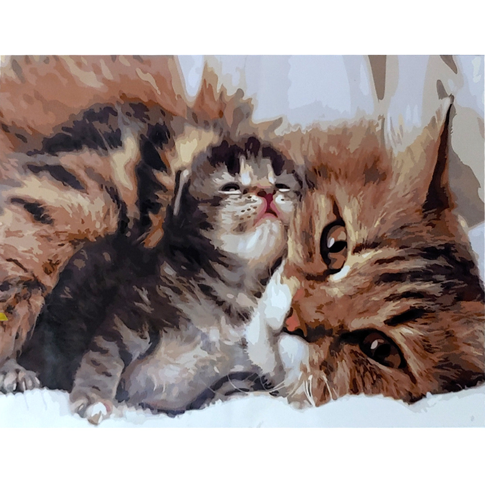 Paint by numbers Strateg PREMIUM Feline tenderness with varnish and level size 40х50 sm (SY6597)