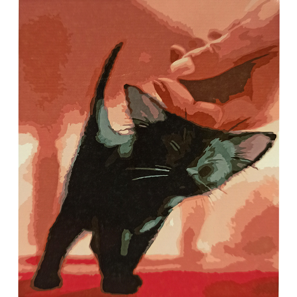 Ласка чорного котика з лаком 