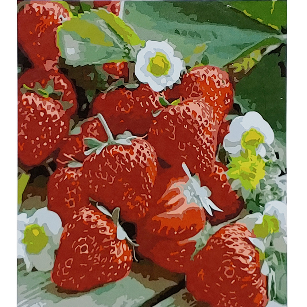 Malen nach Zahlen Strateg PREMIUM Süße Erdbeere mit Lackgröße 30x40 cm (SS-6512)