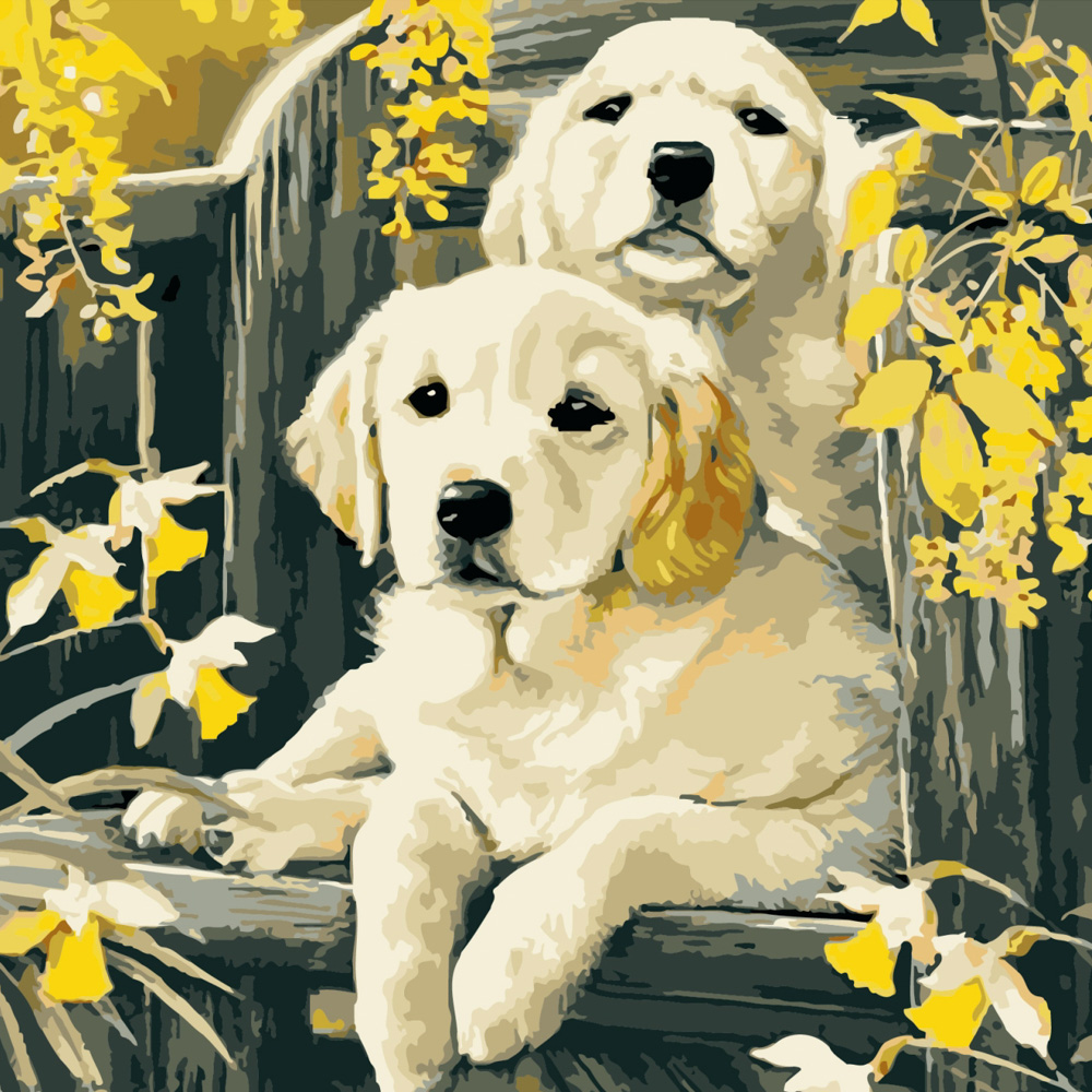 Paint by numbers Strateg PREMIUM Little Labradors size 40x40 cm (SK021)