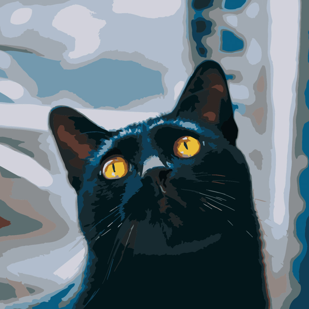 Котик з жовтими очима 