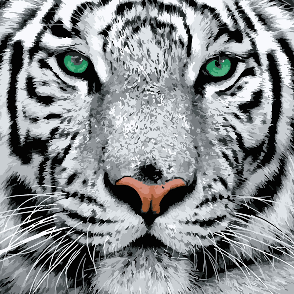 Картина за номерами Strateg ПРЕМІУМ Білий тигр розміром 40х40 см (SK023)