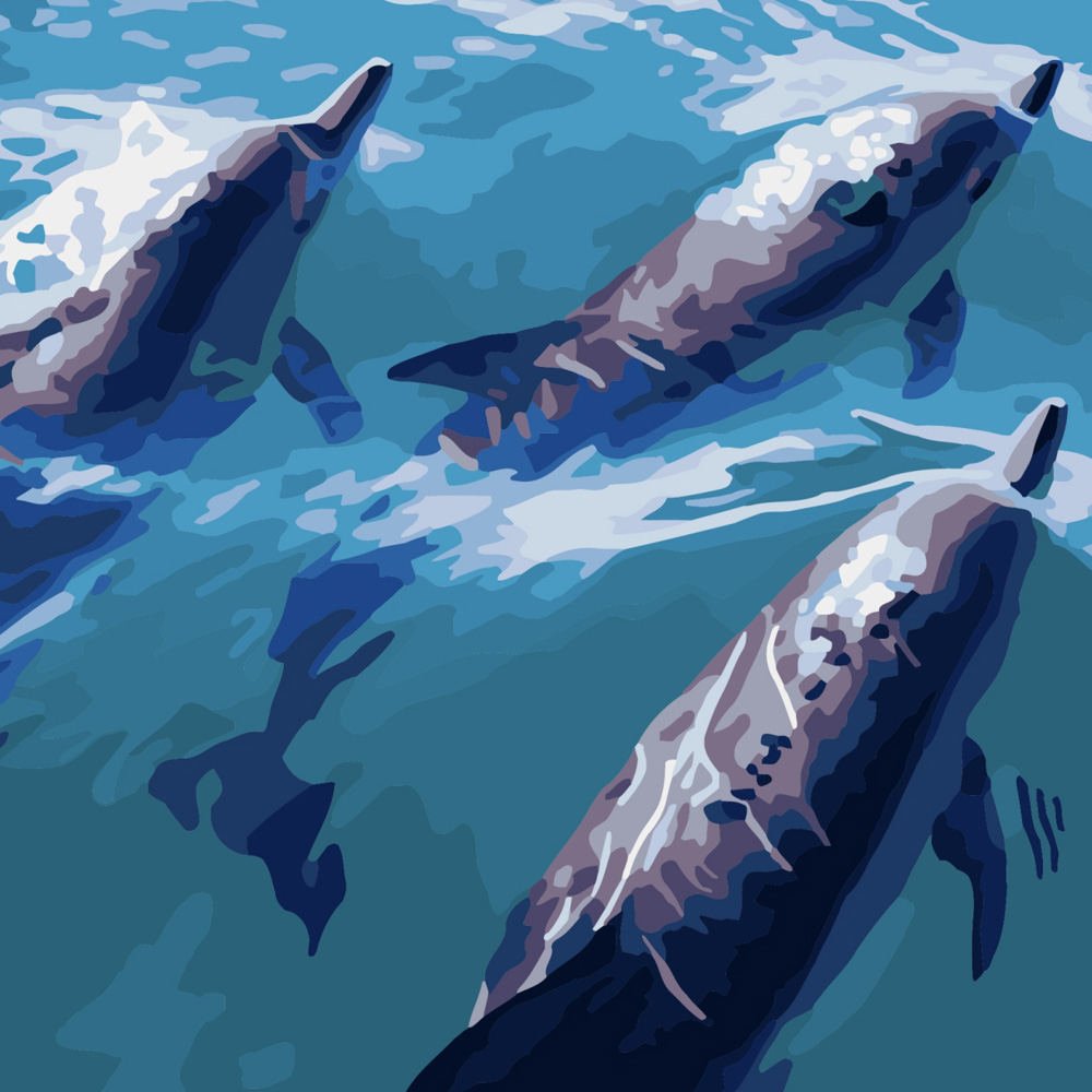 Картина за номерами Strateg ПРЕМІУМ Швидкі дельфіни розміром 40х40 см (SK034)