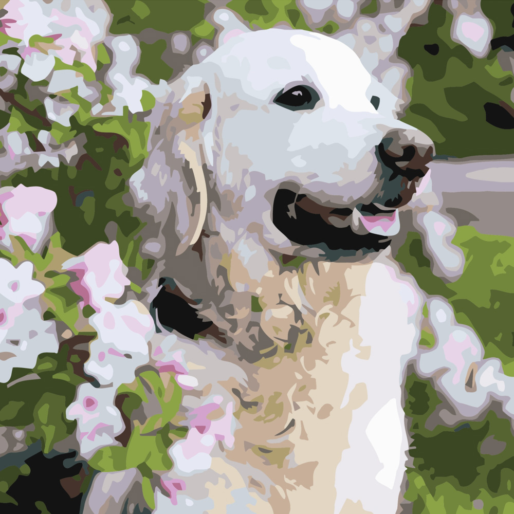 Paint by numbers Strateg PREMIUM Labrador in flowers size 40x40 cm (SK037)