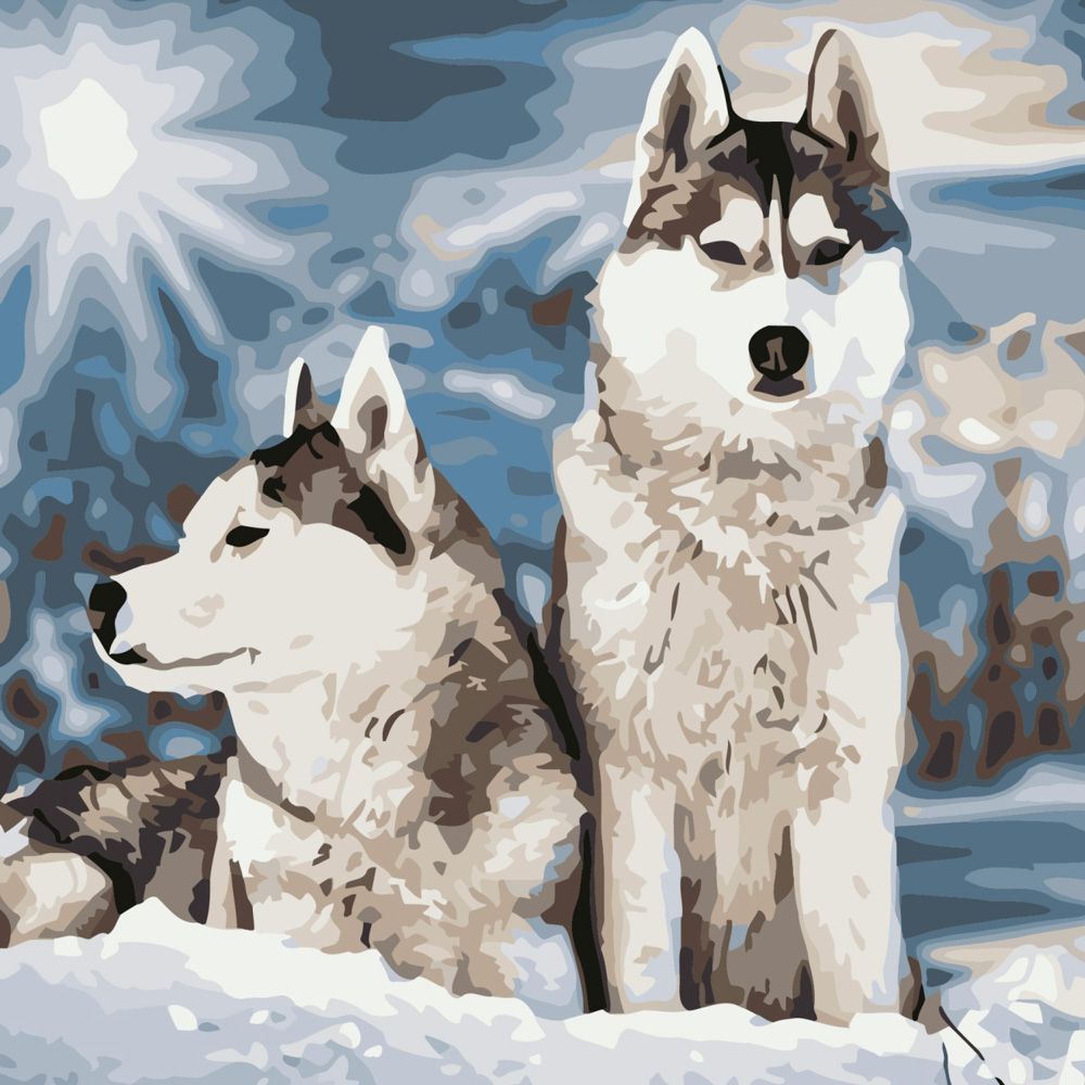 Malen nach Zahlen Strateg PREMIUM Snowy Huskies Größe 40x40 cm (SK051)