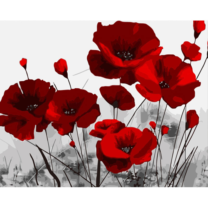 Paint by number Strateg PREMIUM Bright poppies with varnish and with an increase in size 40x50 cm (DY410)