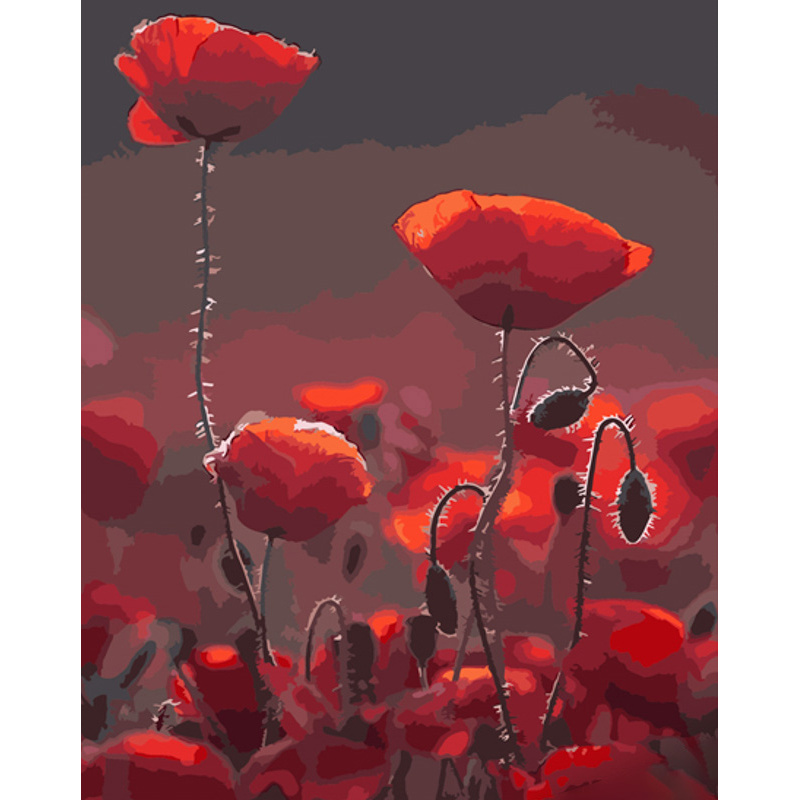 Paint by numbers Strateg PREMIUM Red poppy size 40x50 cm (GS879)