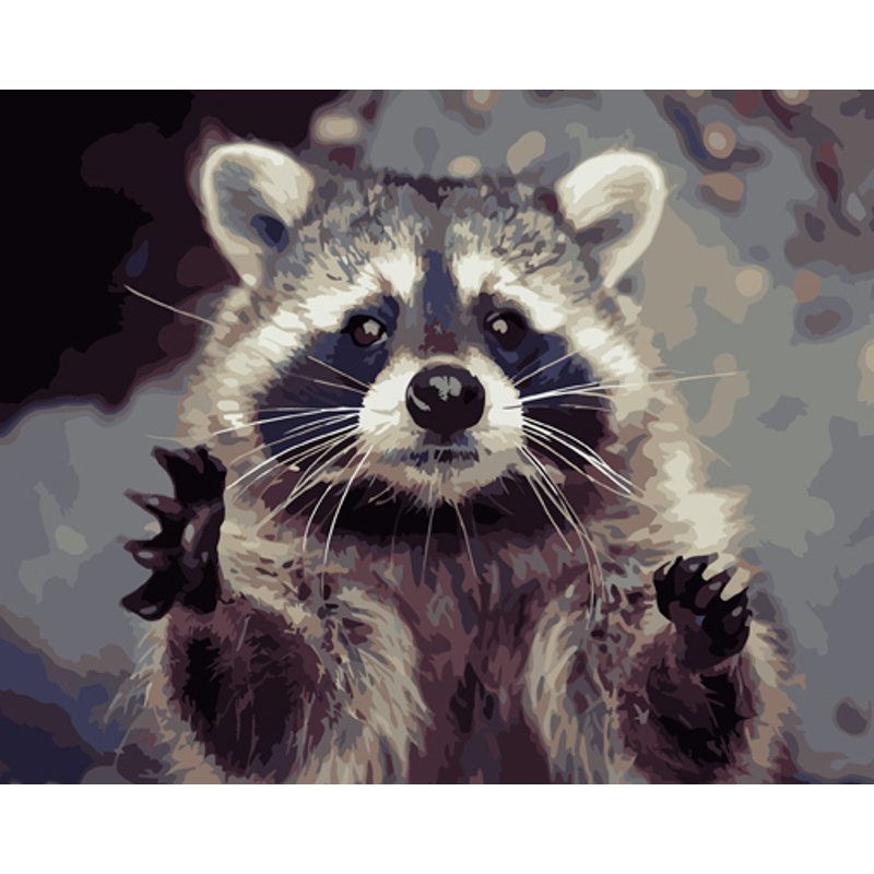 Paint by numbers Strateg PREMIUM Raccoon size 40x50 cm (GS922)